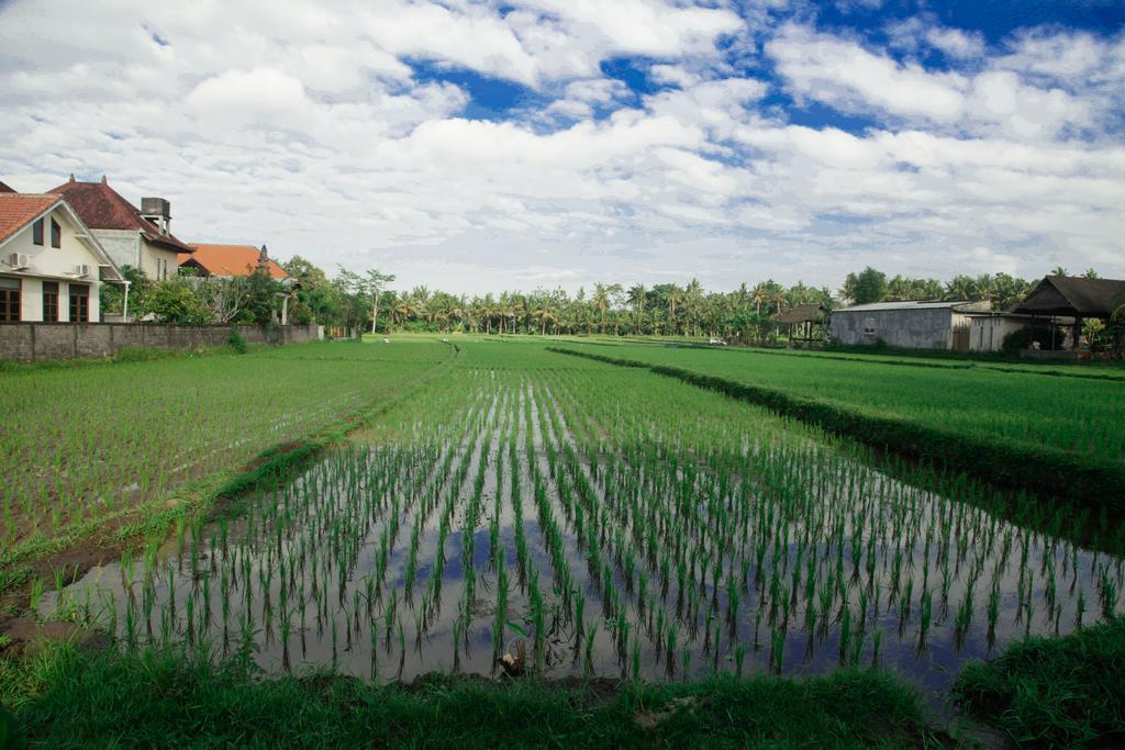 Canang Sari House Ubud Extérieur photo